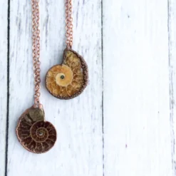Madagasgar ammonite necklace | Raw ammonite necklace