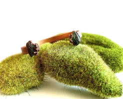 Moldavite Cuff | Genuine Moldavite Cuff